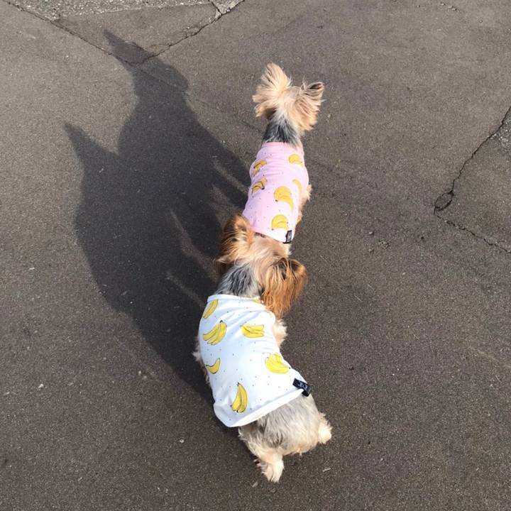 5ae937d9 c1ef 4727 99e4 c7304eaeedf2 1601453472058