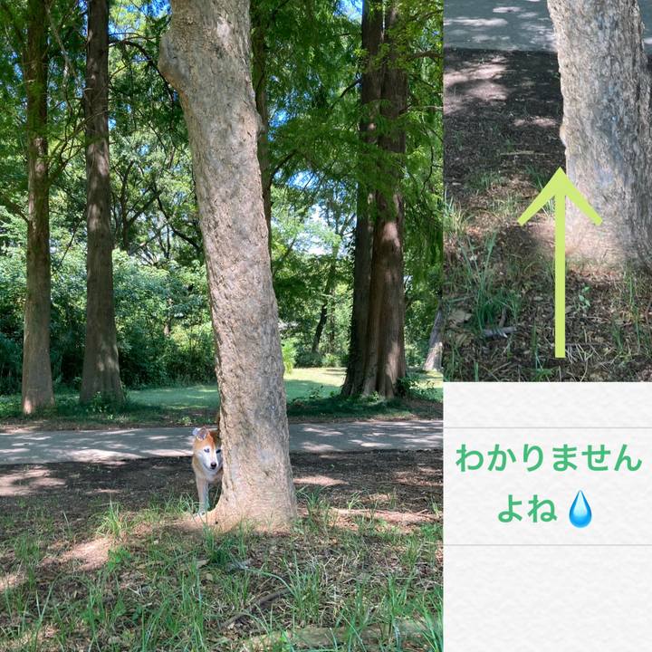 5ae96667 eef5 4f0f 8b93 20d64e3a3757 1757321105889