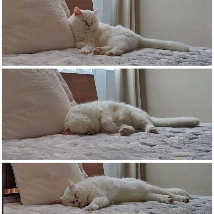 5ae968b1 0dbe 40b4 9ba4 1fc40d3bf5c4 1641690094074