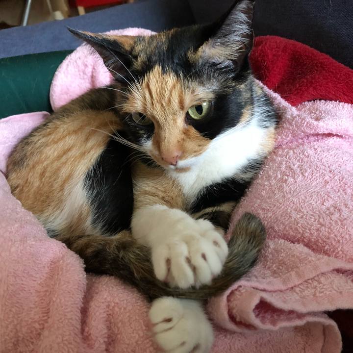 5ae96a17 e318 4310 8e73 7130b0745941 1530058404257