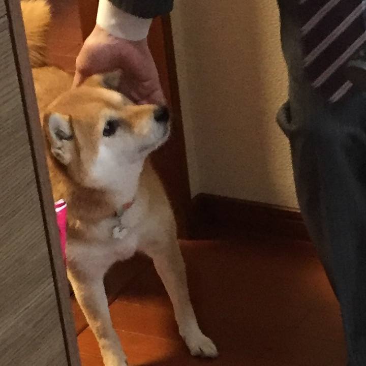 5ae9802a 7395 452f 86df d89d6e9b747f 1554075275851