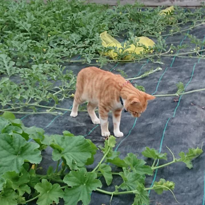 5ae9aa57 e2df 4354 b2e8 f7406aa2ab94 1563875934179