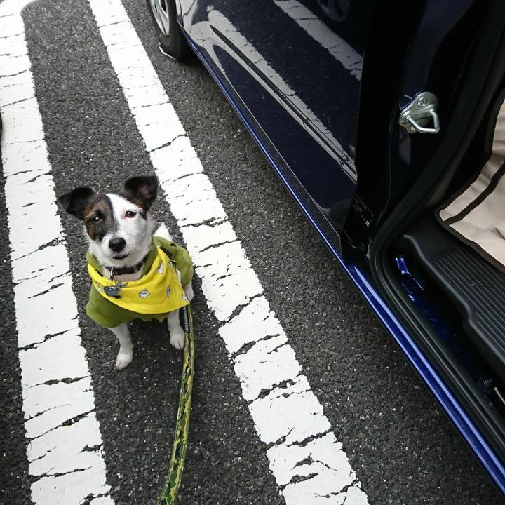 5ae9e235 478f 4c1b 86b8 4177e3936d62 1509149734759