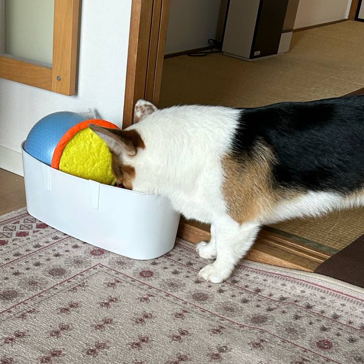 5aea1b27 eb2b 42aa 984b 3fea4bb924c2 1775797617013