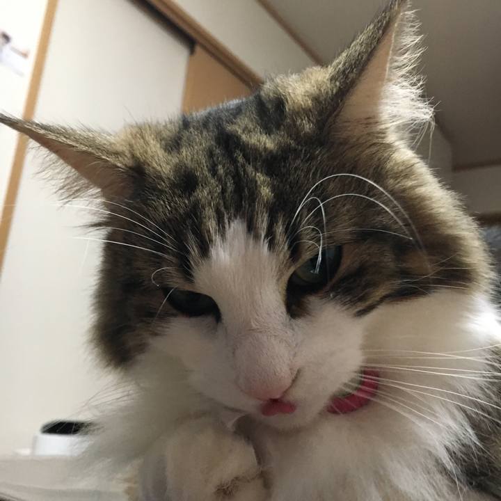 5aea1d17 41c9 4902 8b62 8d80a92e6024 1508319978208