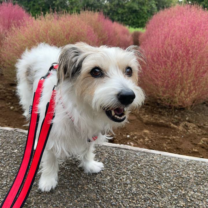 5aea2bed 3c05 4c92 8a29 100d6d6dafd2 1759917301879