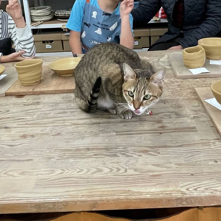 5aea4793 e518 49ae 9fba 1564155e0c8b 1705808757150