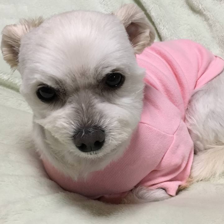 5aea4e62 11c8 418a bc10 541738d5f650 1546944054494