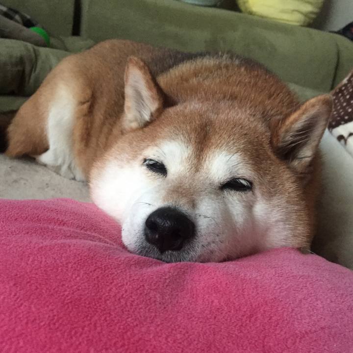 5aea556b 5b0a 4e66 94df 478bb32645c9 1518423827369