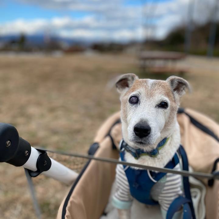 5aea5fb1 5efd 40c7 9aab 9dfdf81fdcf8 1672742385900