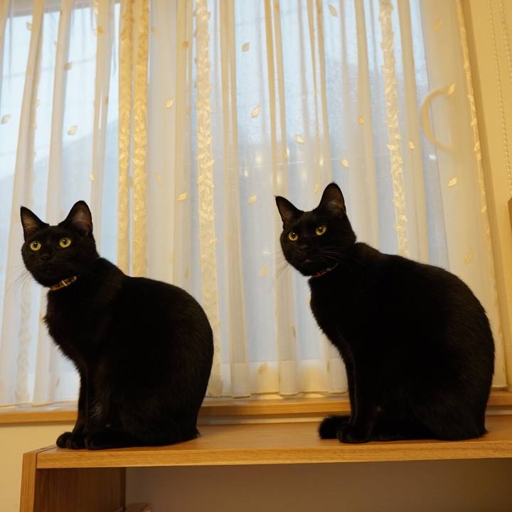 5aea7d93 d294 4767 9dc0 04f295c9d3bc 1544432734151