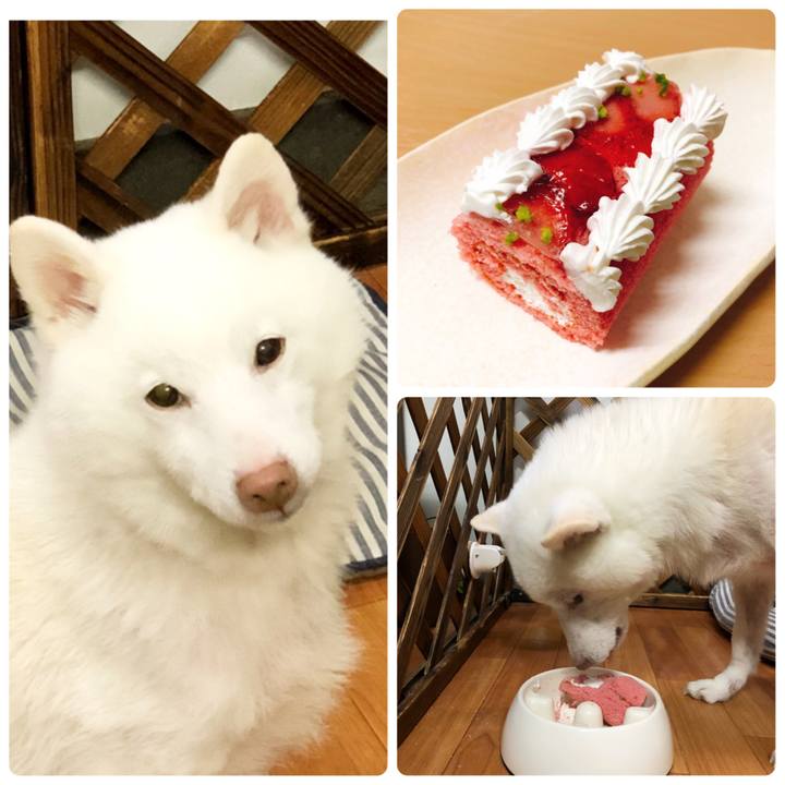 5aeaccbd 0bd0 4404 abbc 79fb0fbf60db 1518092576650