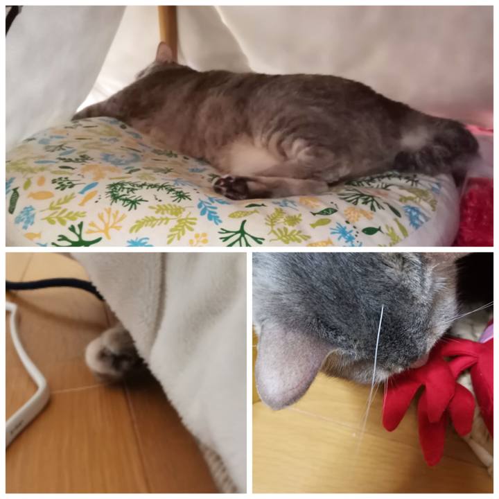 5aeaf4a4 8bec 4d62 a950 177956db022a 1615708827182