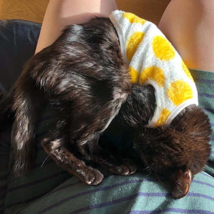 5aeaf4aa dc33 4e11 a544 3e160202d8af 1556054214388