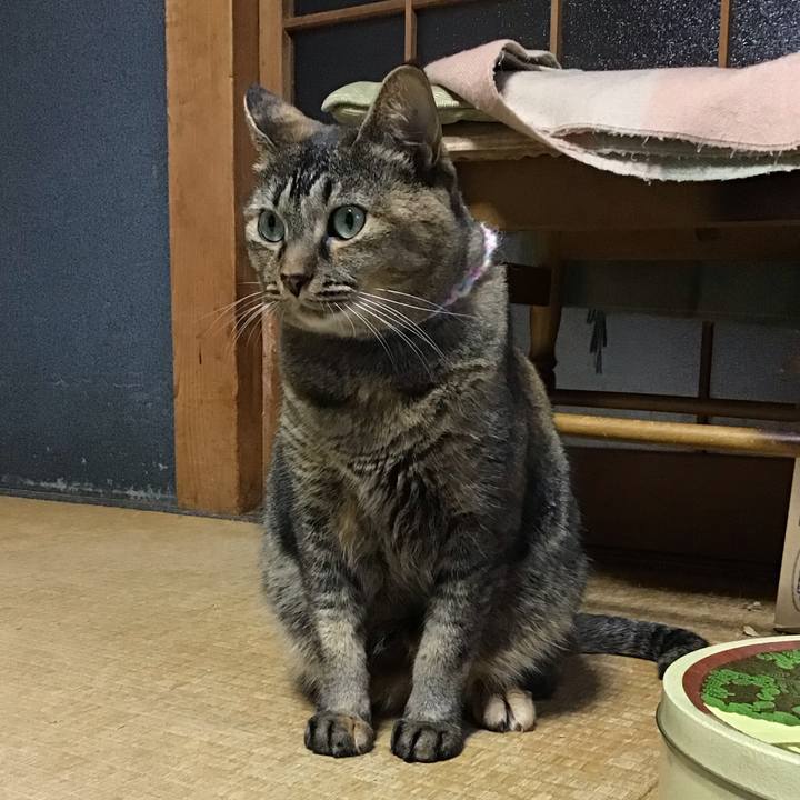 5aeb0370 007f 4da8 9277 6a096f887f2c 1696843442311