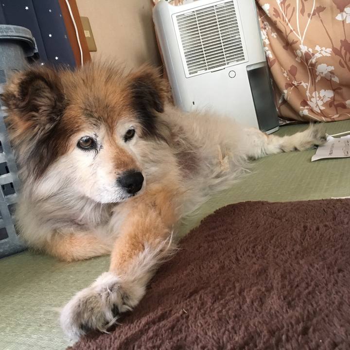 5aeb0957 1c43 459d 9f92 c6e4d8d8bf45 1552855343079