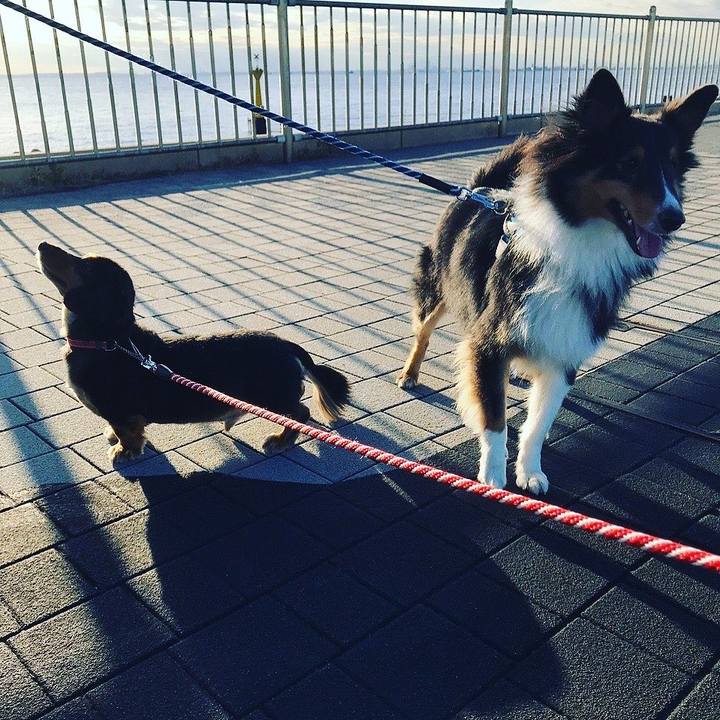 5aeb4229 f46e 42fc 970f 8bf2e730715f 1637531489457