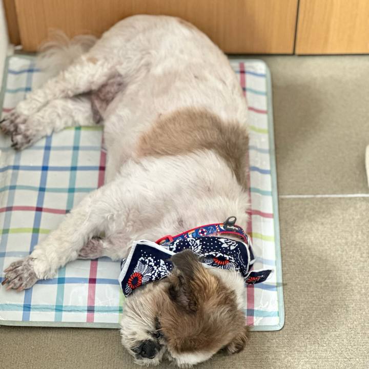 5aeb5874 1dd9 4b0e a4fe ba1488dd976c 1688355399198