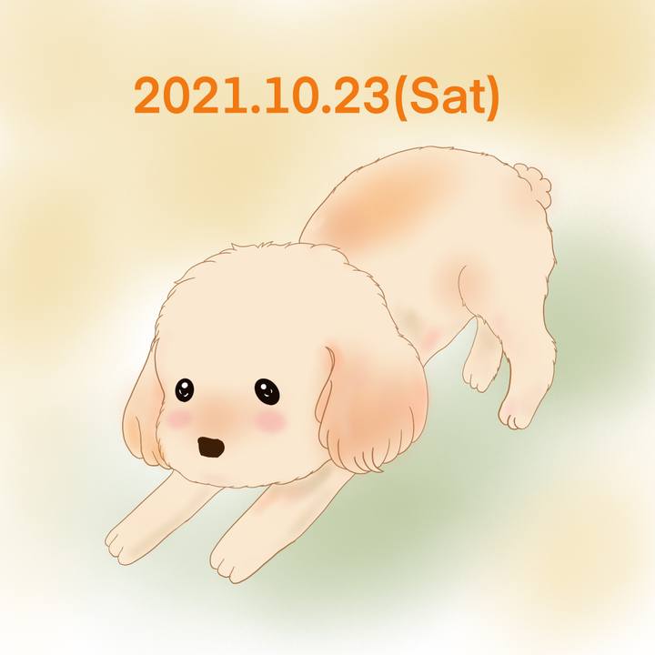 5aeb6bd5 974b 496f be5c bb5dc1884550 1634995375283