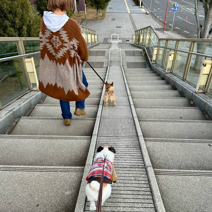 5aeb7671 7322 4813 bf19 ba5882aeab96 1741529576533