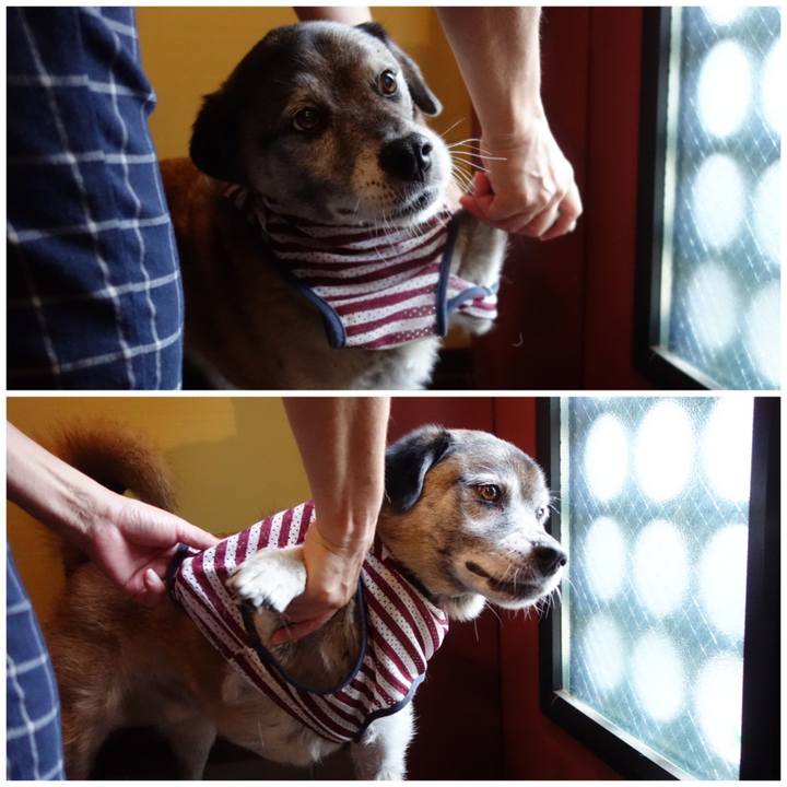 5aeb7ca8 ed75 47b5 a615 02bbfdda387a 1678411715780