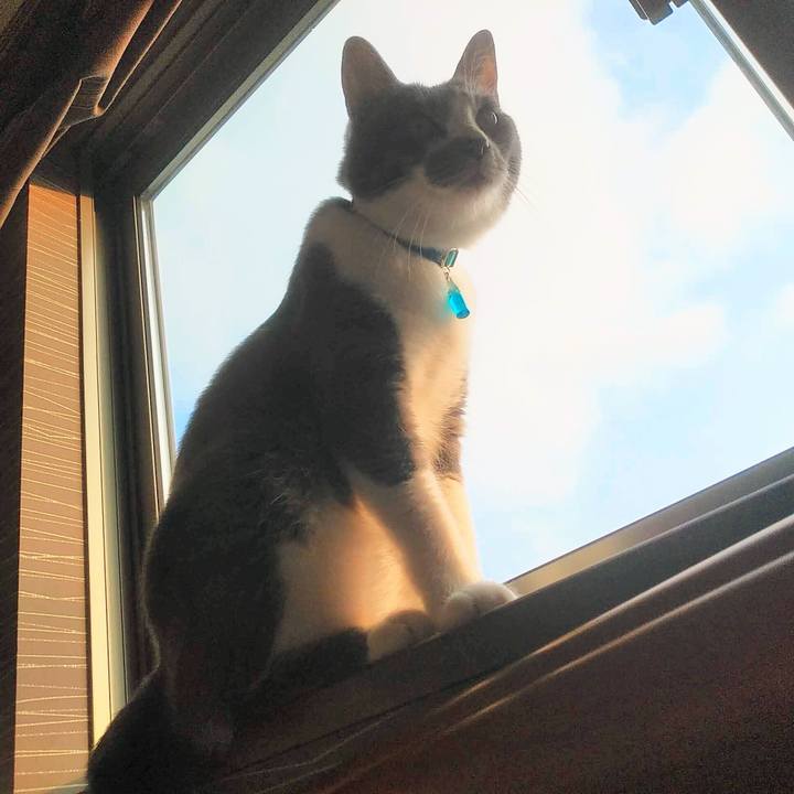 5aeb81de 5eae 4190 8b3e 303f939edb85 1623362947806