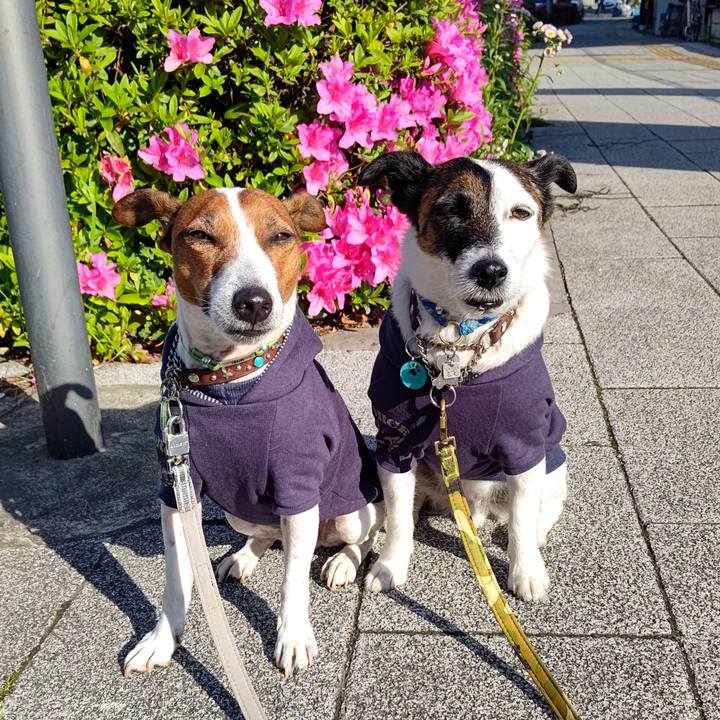 5aeb940a 95ac 477f ad4a 938301dd398c 1681857102622