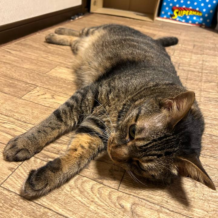 5aebab31 bce3 43ed 8f3b f53ef06287e1 1688816343760