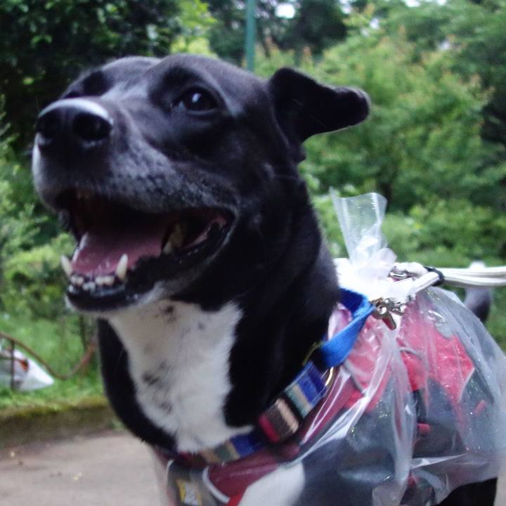 5aebb3d5 c4e7 497e bed1 18cf12823cab 1652615741904