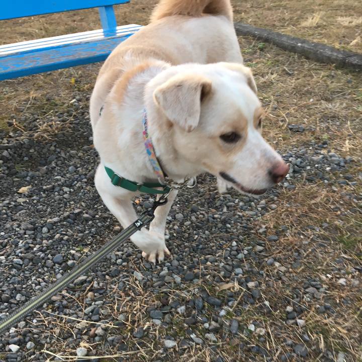 5aebc578 a2a5 47a6 a59a 1e88762b0383 1516524621249