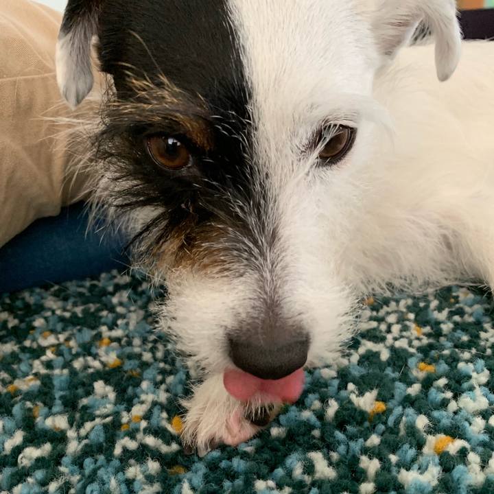 5aebf0b9 de27 4ebb 96f5 ed2f69494930 1553234464827