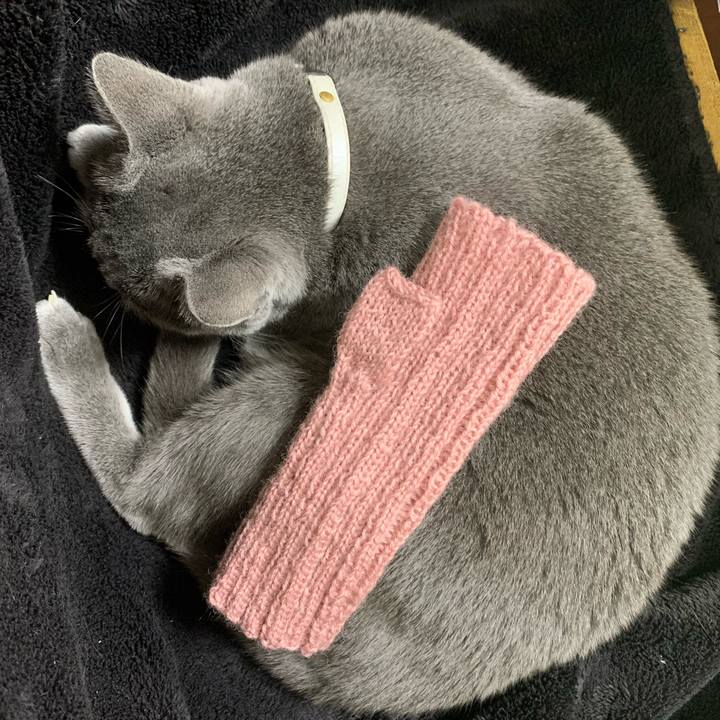 5aebffaa 42a5 4bd2 b5ef 1d3685dc5389 1665282906955