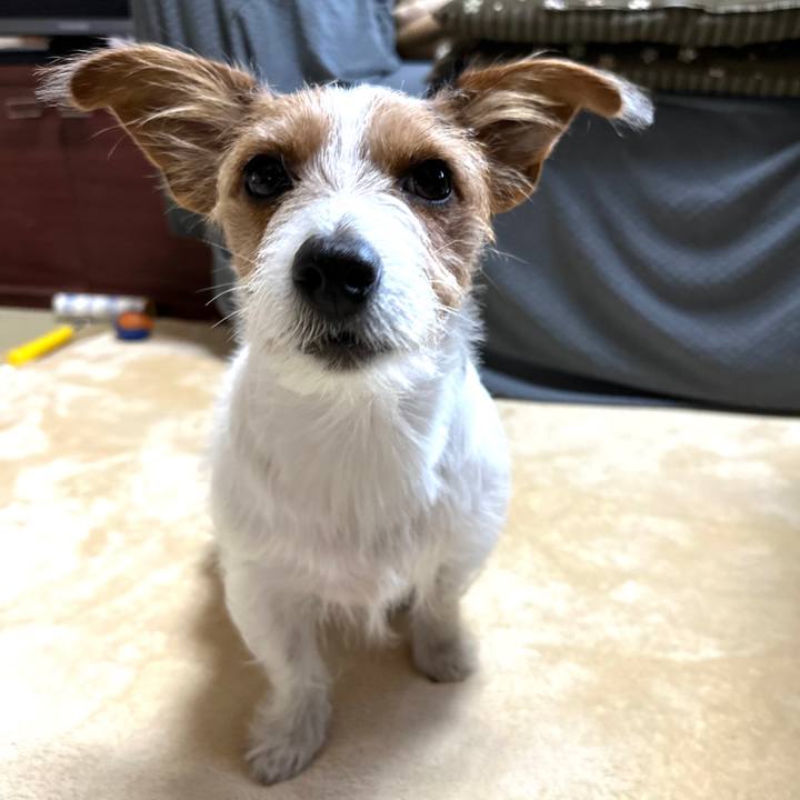 5aec1be2 61a0 40e0 998d bfcd1ec4e98c 1761604079960