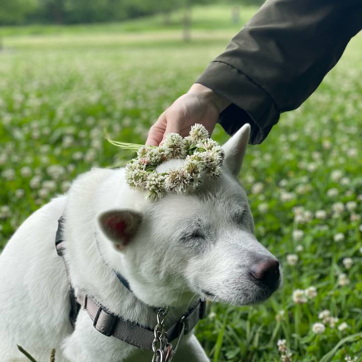 5aec23e8 a675 40c2 ae53 753a9533ed5e 1684036644872