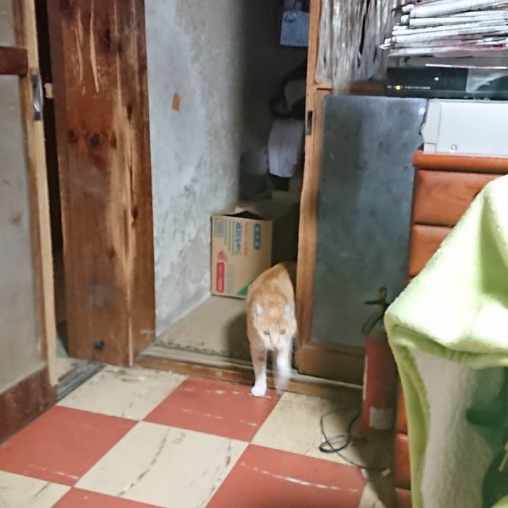 5aec33c0 ca3b 45ff baa4 7beccc91c015 1589313037820