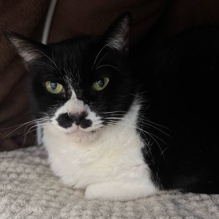 5aeca039 08cd 46ca b41a 34fad3341cf6 1735439733161