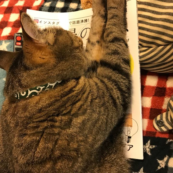 5aeca069 204c 43a2 a670 f4ca4f6c5060 1525595885962