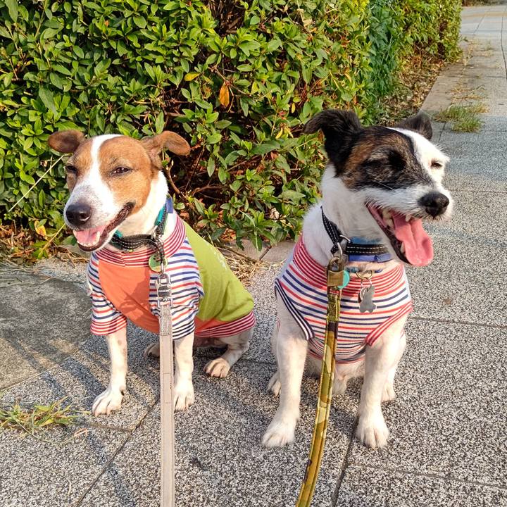 5aed2d20 228b 4882 8b81 66968e36294e 1690408153608