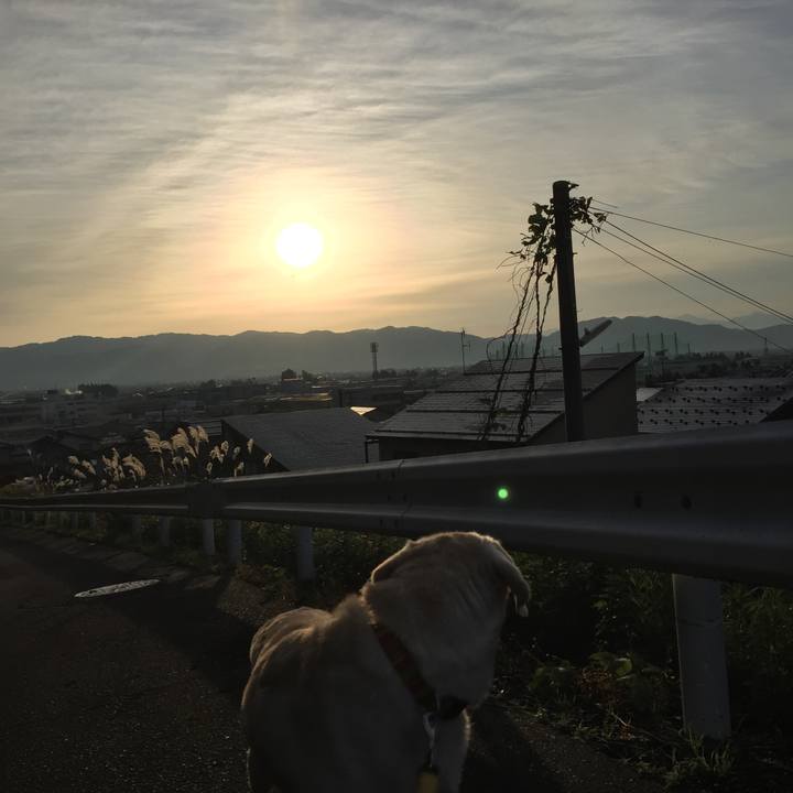 5aed375e e91c 4454 9d21 1eb9491a5b5f 1542754252352