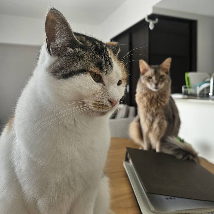 5aed5605 1908 4c8d a85f 04f33f8df78f 1768204688204