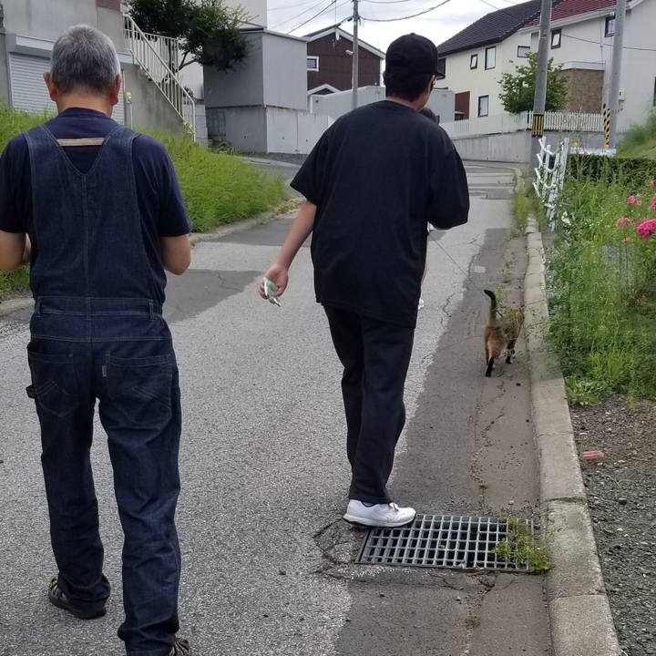 5aed6595 46da 43a3 950e e923d085de5d 1691973489718