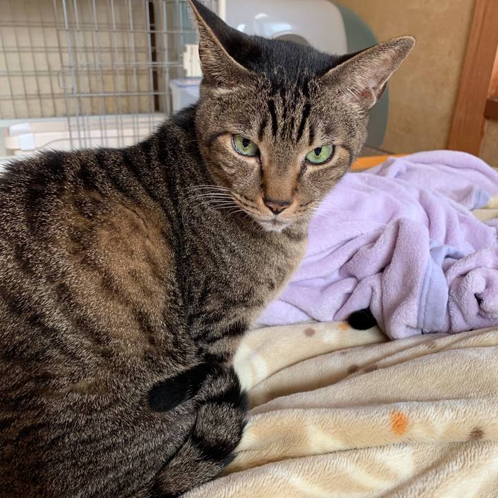 5aed65a6 7940 4cf0 9967 7e6016f59994 1547772711091