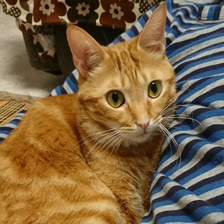 5aed856f b36f 401c ae5c 8729333e2d0f 1508241178031