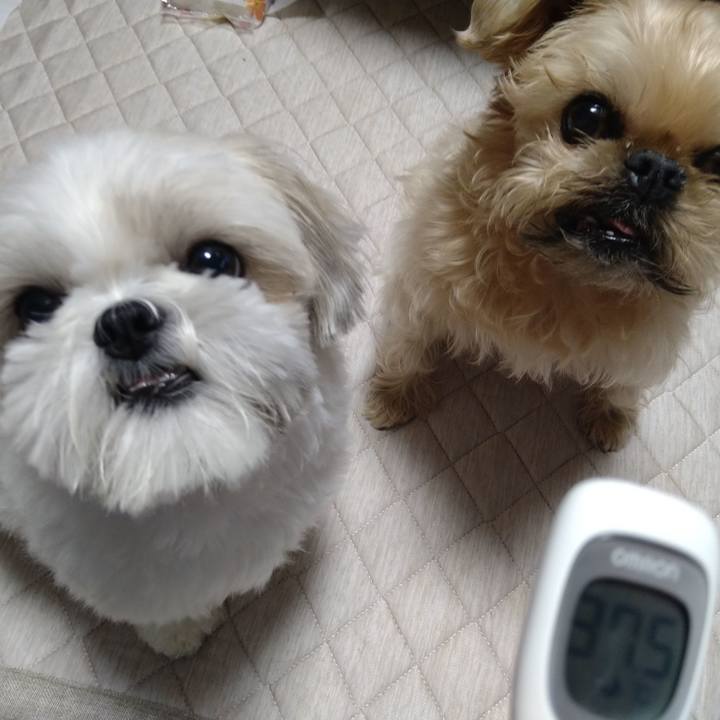 5aed9df4 5df8 4968 9283 ad253007cb83 1660270730445