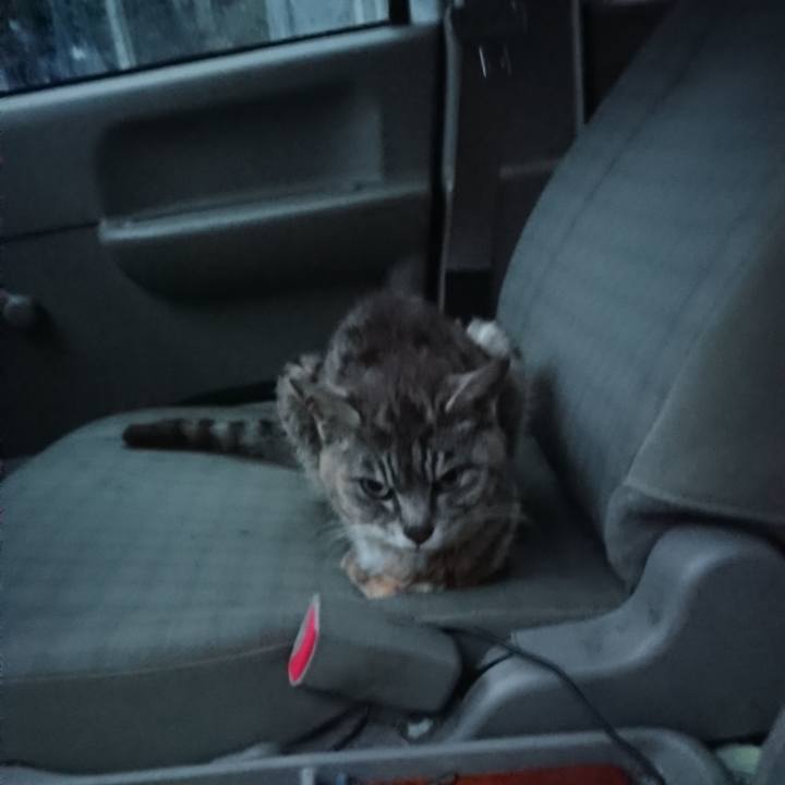 5aedcda1 ad06 4e8b 9ae0 4d4e34c5cb76 1596916777416