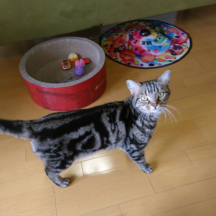 5aedd84b fc4f 439e 9614 e3839d7ce879 1519346915904