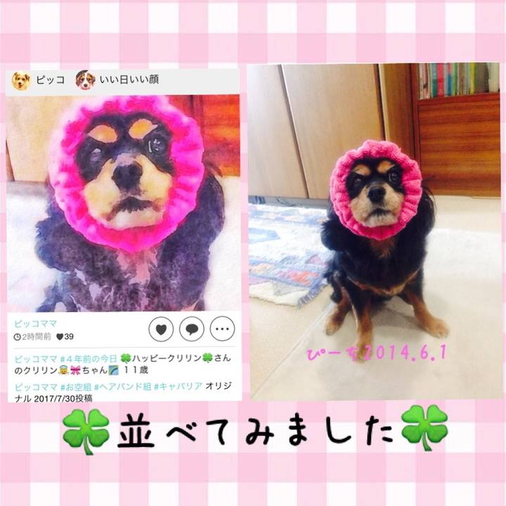 5aee1a7f e97f 4eed abf3 d5c43031c6d7 1527844687771