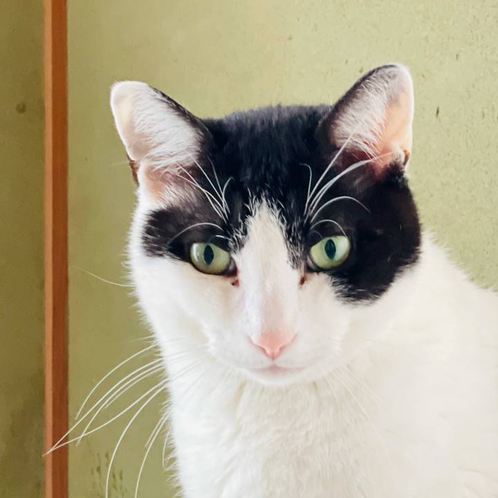 5aee2929 7401 44ab a829 347c906b5967 1617675283672