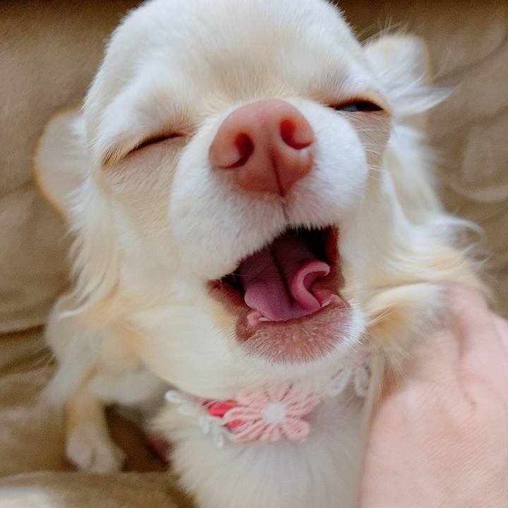 5aee30ee 80ac 4e4b a6b6 7a4b7c136ba5 1614051507606