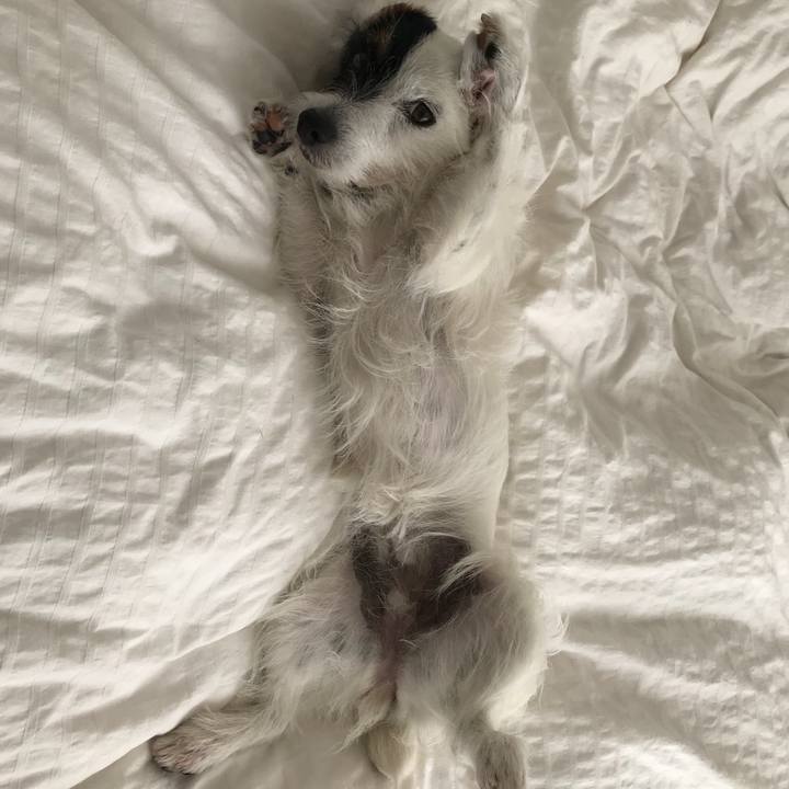 5aee3783 1bb8 4a12 a038 abcf783b8269 1526359668790